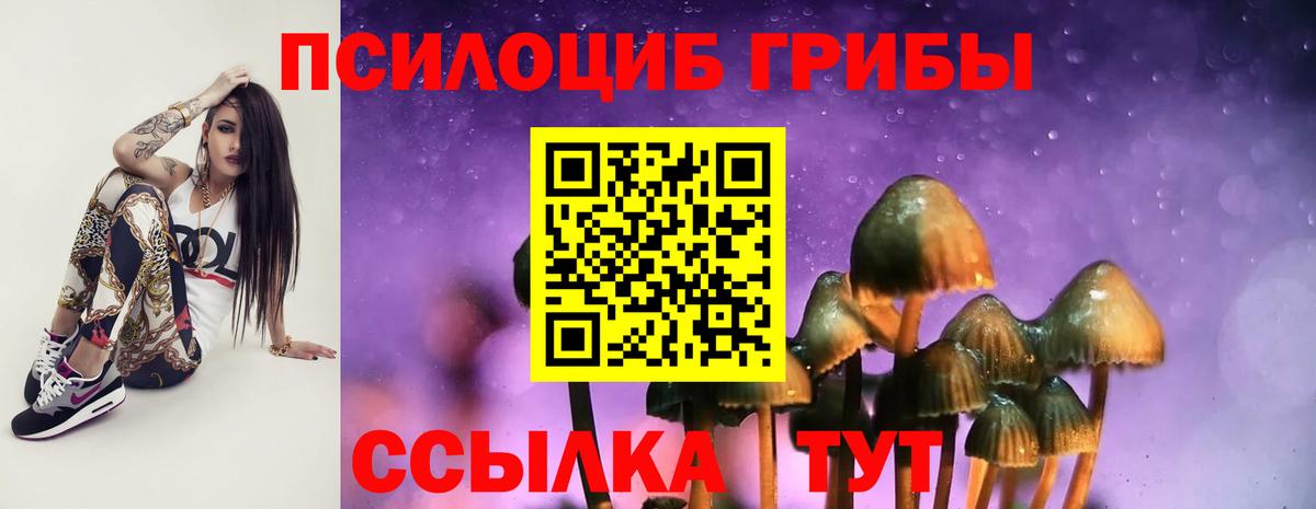Галлюциногенные грибы мицелий Асино